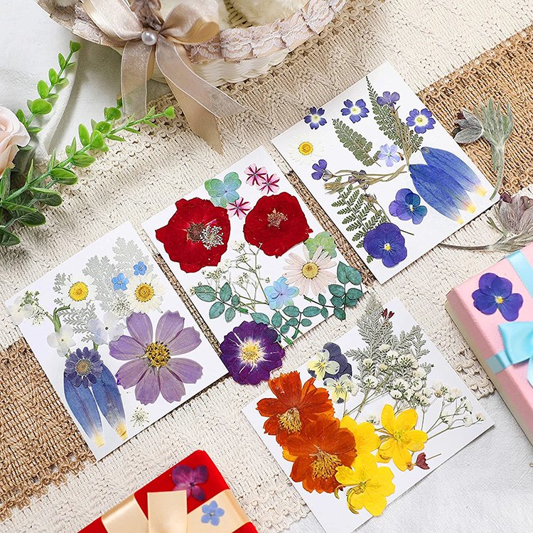 hot sale Nail Mini Resin Flowers Art natural rreal dry pressed purple flowers plant grass for mothers day gifts