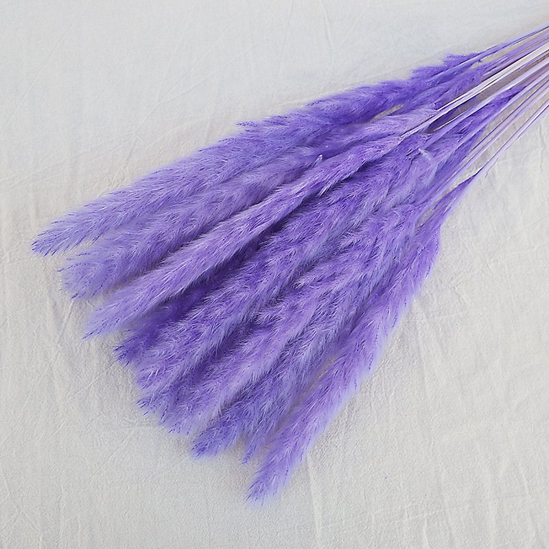 Hot sale outdoor wedding party household decorative dried flower primary color white light pink pampas grass