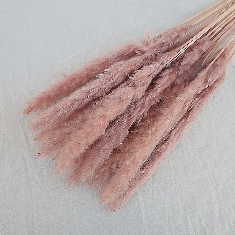Hot sale outdoor wedding party household decorative dried flower primary color white light pink pampas grass