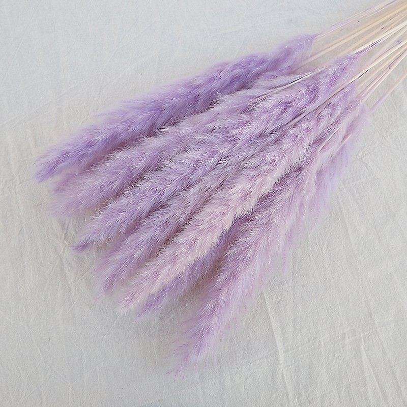 Hot sale outdoor wedding party household decorative dried flower primary color white light pink pampas grass