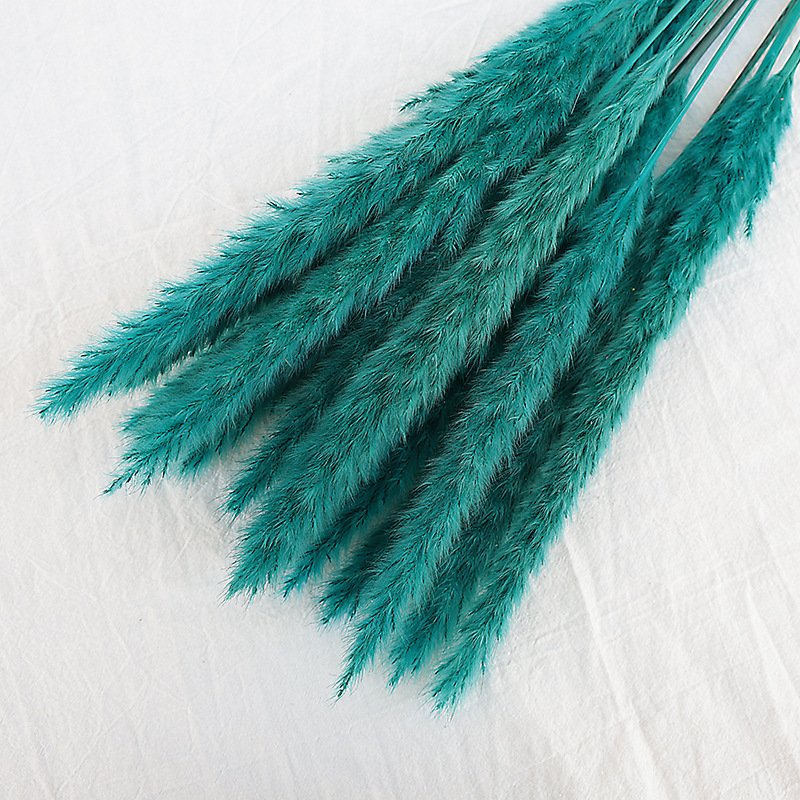 Hot sale outdoor wedding party household decorative dried flower primary color white light pink pampas grass