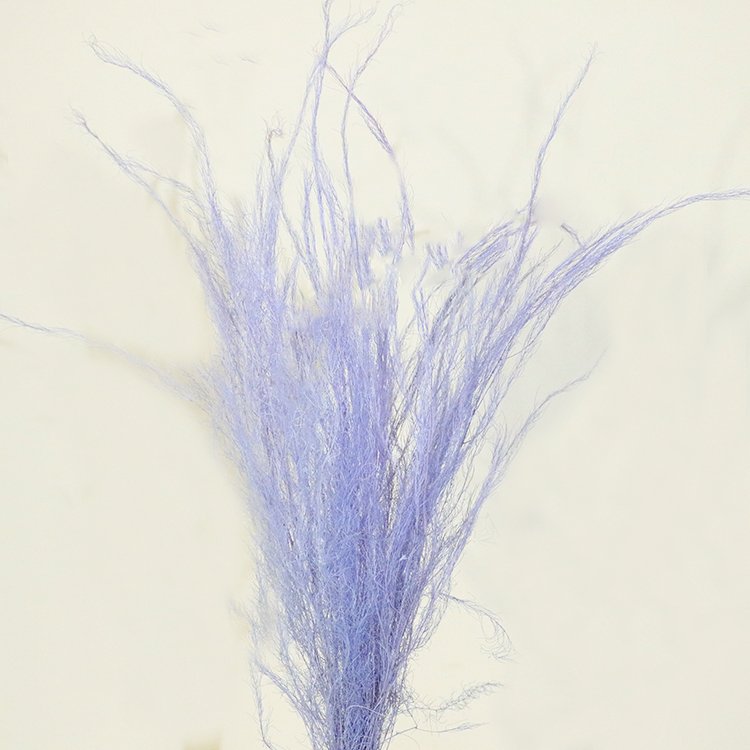 new product ideas 2023 preserved flowers plants Chinese alpine rush flowers preserved