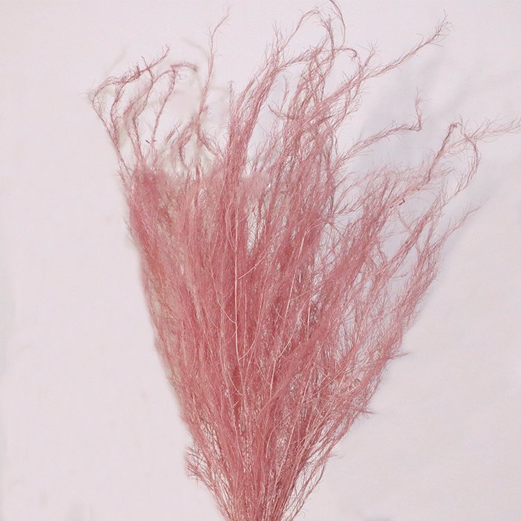 new product ideas 2023 preserved flowers plants Chinese alpine rush flowers preserved