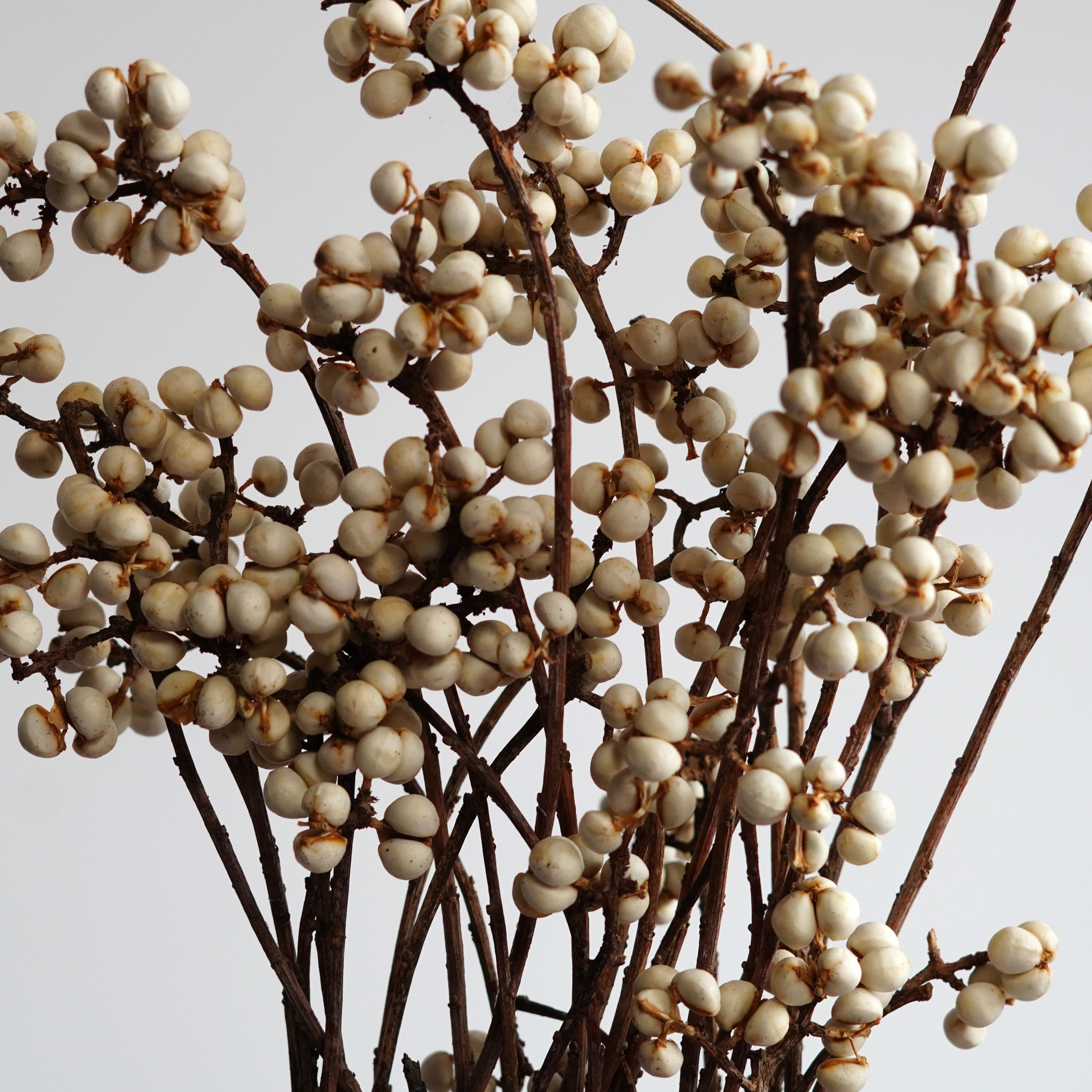 Dried Tallow Berries, tallowberries, natural berries, berries,craft flowers, dried berries, Wedding flowers
