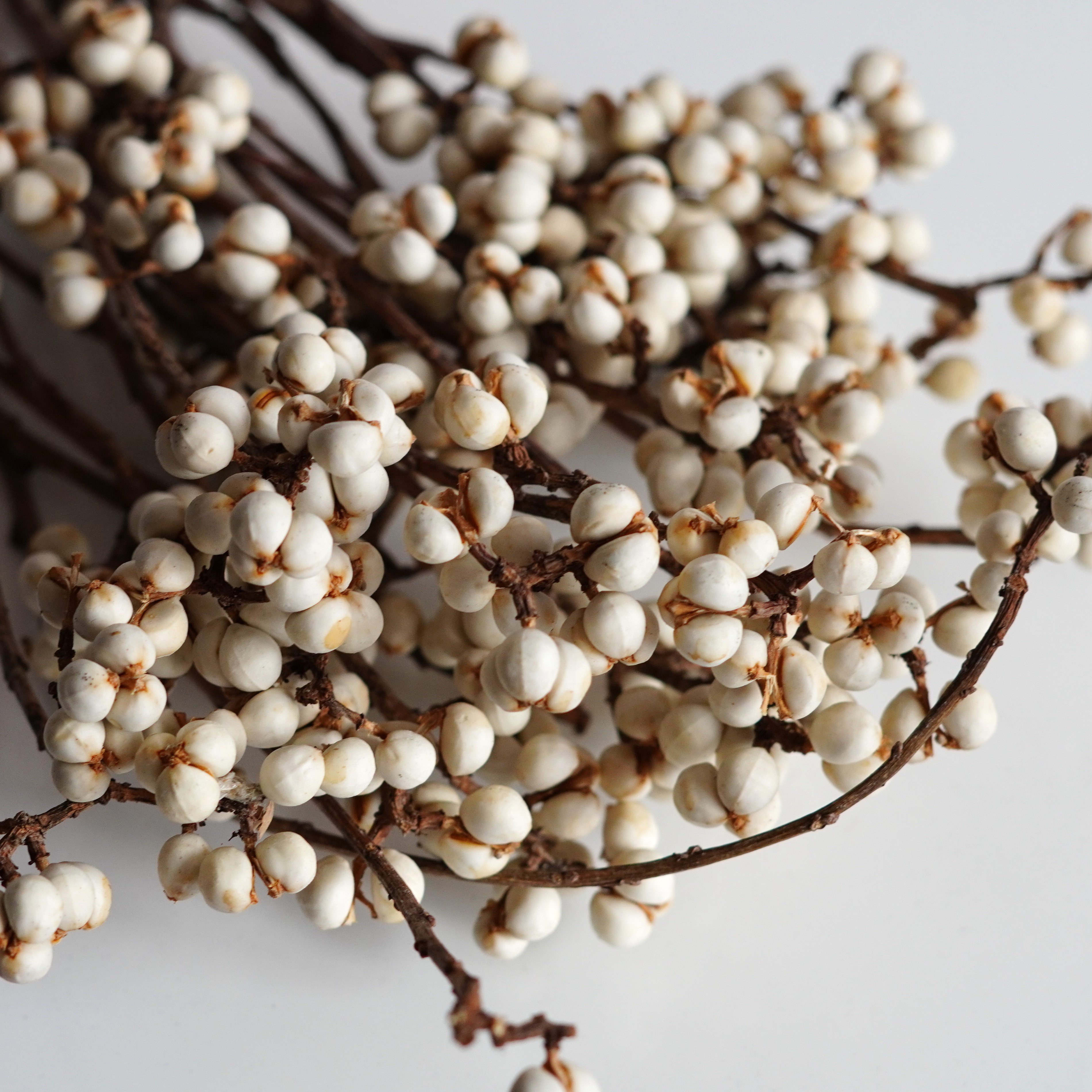 Dried Tallow Berries, tallowberries, natural berries, berries,craft flowers, dried berries, Wedding flowers