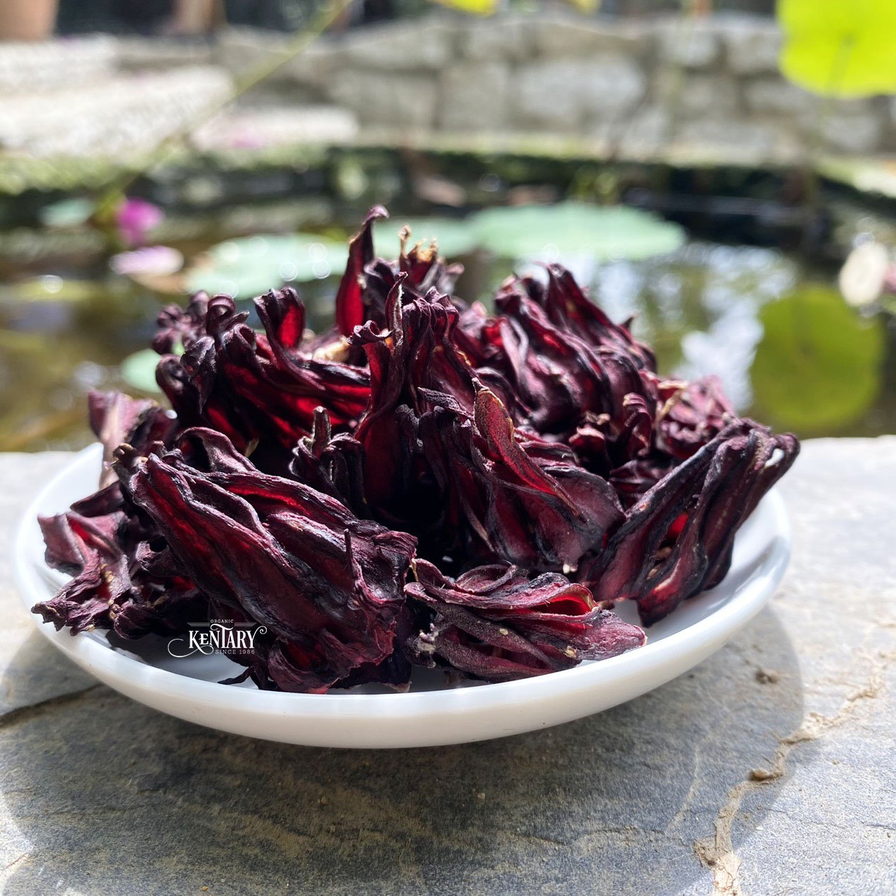 Bulk Hibiscus Dried Flower Herbs Tea Sour Tasty Wholesale Made in Vietnam Fair Price 100% Nature Non GMO No Chemical