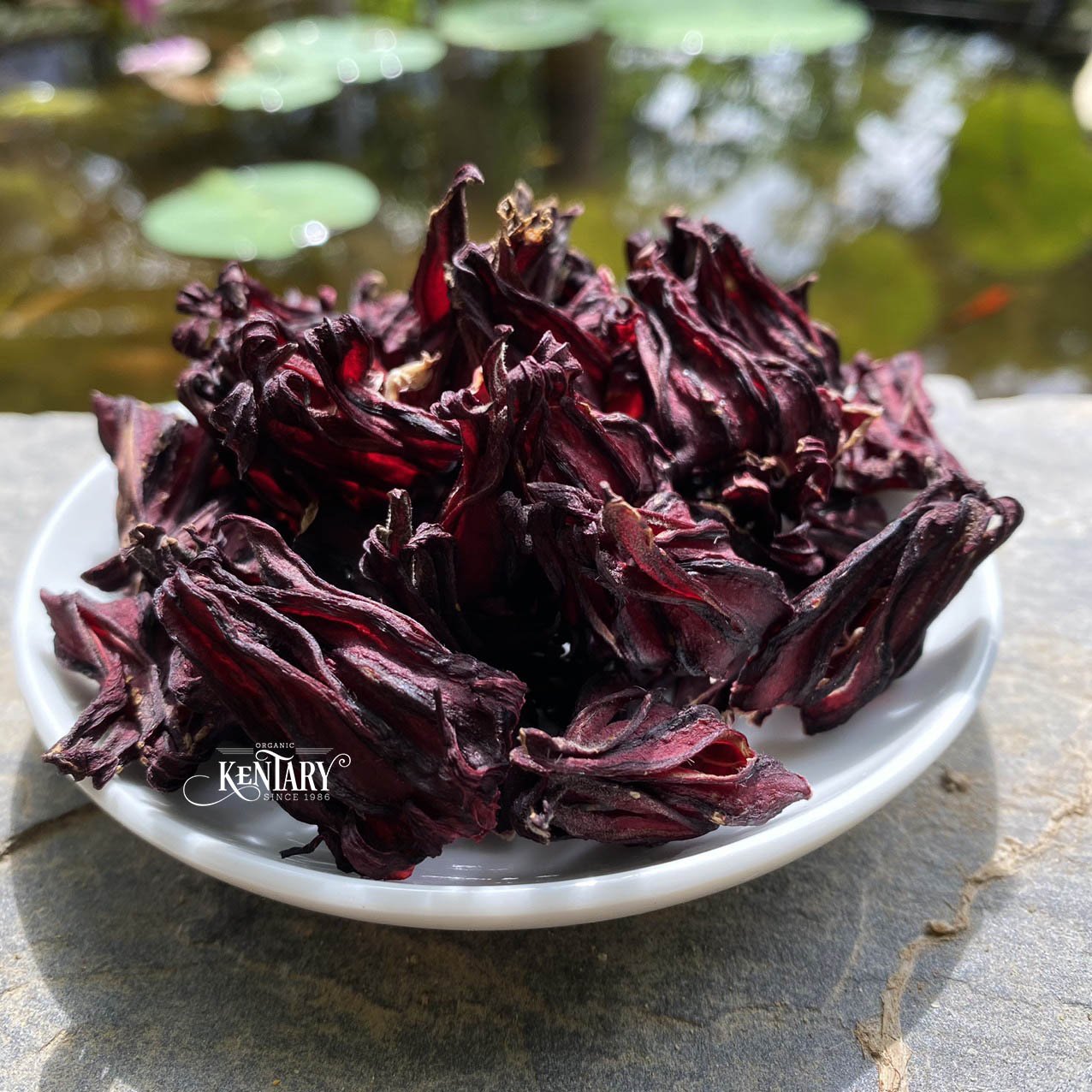Bulk Hibiscus Dried Flower Herbs Tea Sour Tasty Wholesale Made in Vietnam Fair Price 100% Nature Non GMO No Chemical