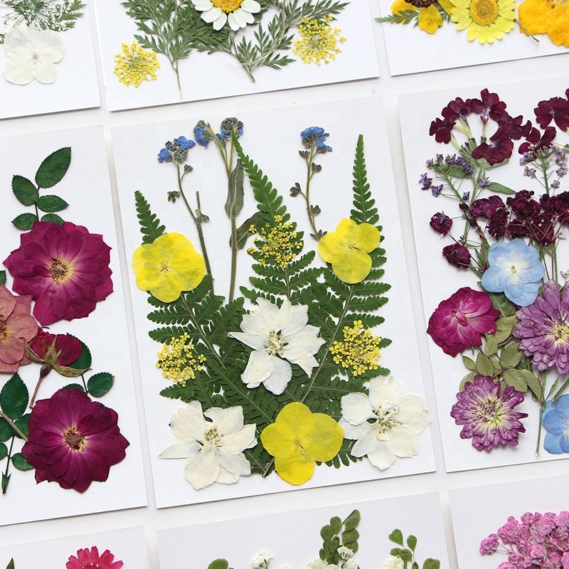 15pcs/pack Pressed Flower Mix Bag DIY Gift Card Wedding Bride Face Decoration Candle Soap Making Frame