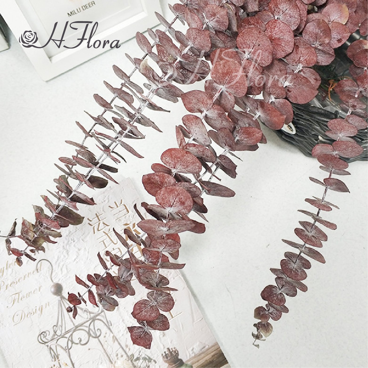 50g/bundle natural preserved Eucalyptus Leaves Branches for Flower Arrangement Wedding Home Decor
