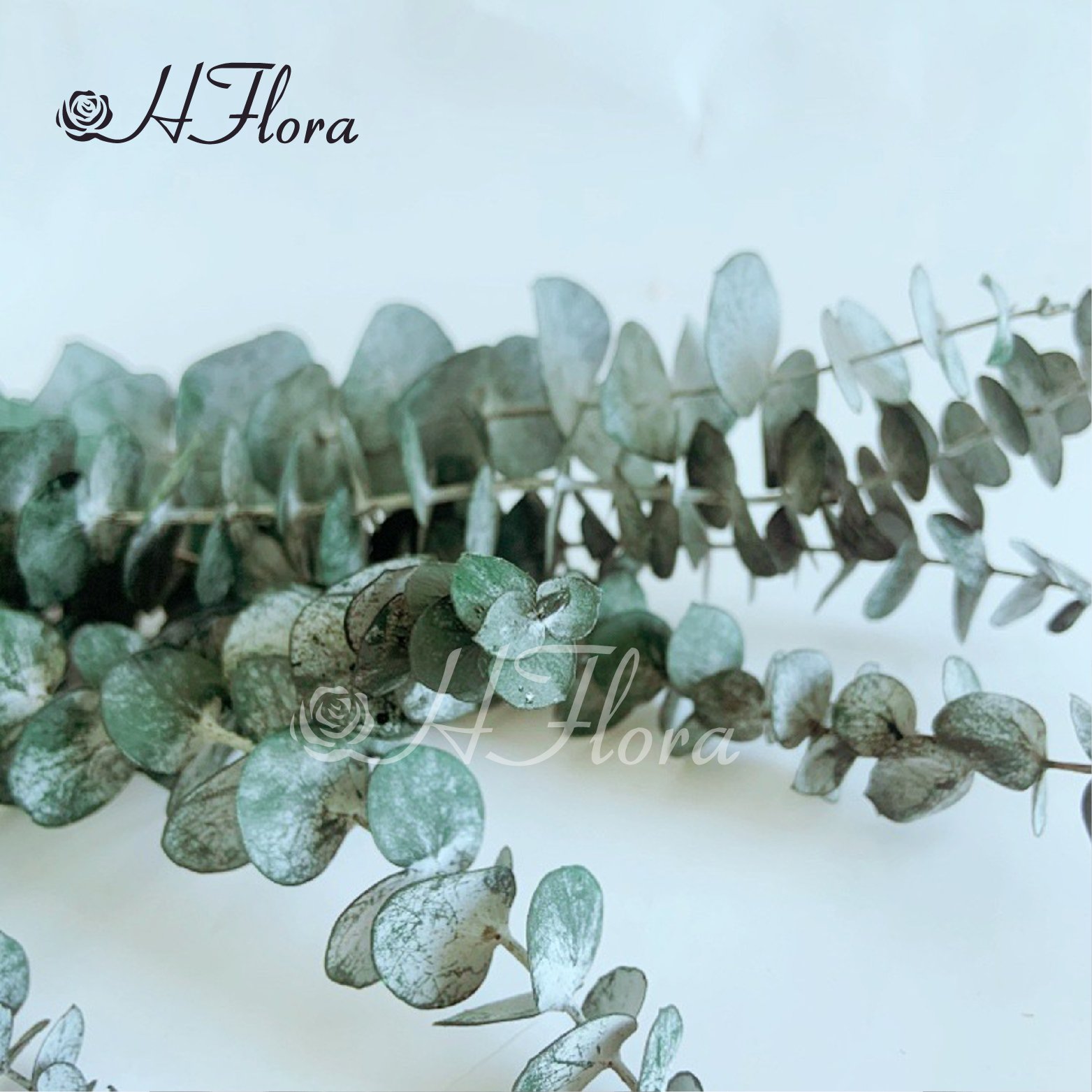 50g/bundle natural preserved Eucalyptus Leaves Branches for Flower Arrangement Wedding Home Decor