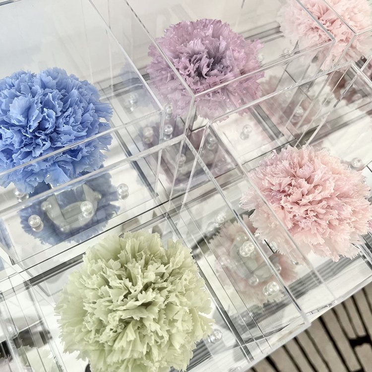 Dried Flower Gift Boxed Giant Single Bundle Carnation for Valentine's Day with Pvc Gift Box Wholesale