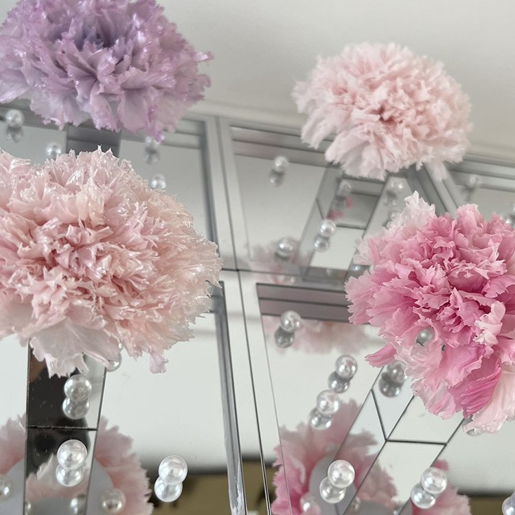 Dried Flower Gift Boxed Giant Single Bundle Carnation for Valentine's Day with Pvc Gift Box Wholesale