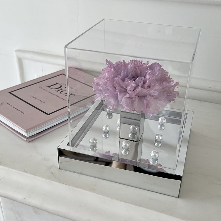 Dried Flower Gift Boxed Giant Single Bundle Carnation for Valentine's Day with Pvc Gift Box Wholesale