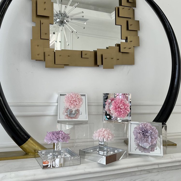 Dried Flower Gift Boxed Giant Single Bundle Carnation for Valentine's Day with Pvc Gift Box Wholesale