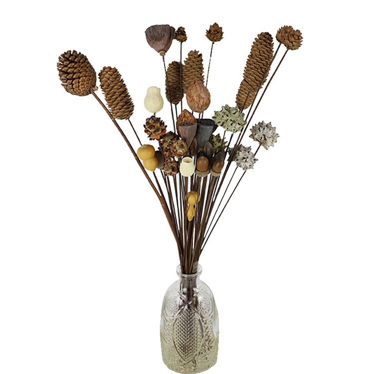 Wholesale Yunnan DIY Flower Material Bellflower Immortal Bell Fruit dried flower with hand made stem Multiple bells flower