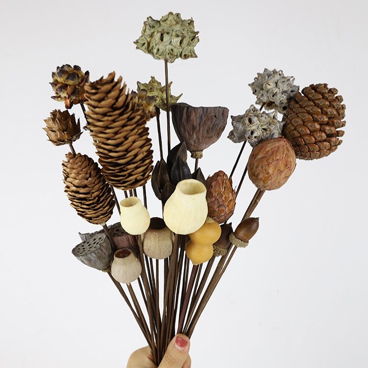 Wholesale Yunnan DIY Flower Material Bellflower Immortal Bell Fruit dried flower with hand made stem Multiple bells flower