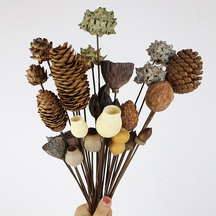 Wholesale Yunnan DIY Flower Material Bellflower Immortal Bell Fruit dried flower with hand made stem Multiple bells flower