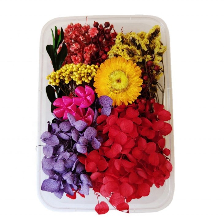 2023 best-selling DIY scattered immortal flowers dried flowers for holiday activities floral products