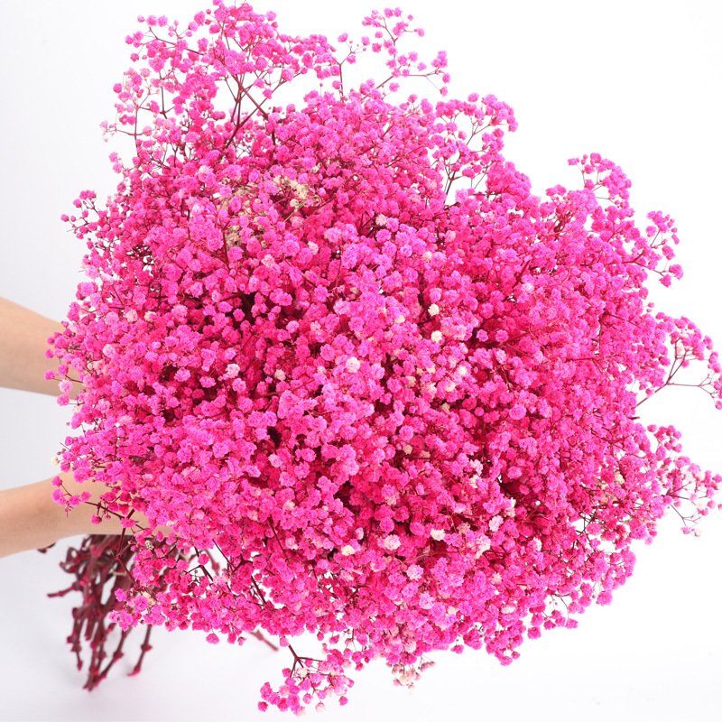 Preserved Long Lasting Mini Artificial Natural Flower Gypsophila Bunch Preserved Baby's Breath Dried Gypsophila