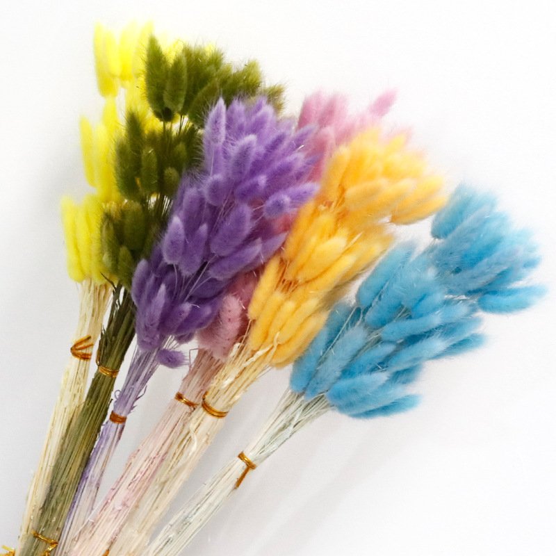 Decorative Flowers Material Dried Flowers Rabbit Tail Grass Bouquets Christmas Long Lasting 55 bunch Rabbit Tail grass Opp Bag