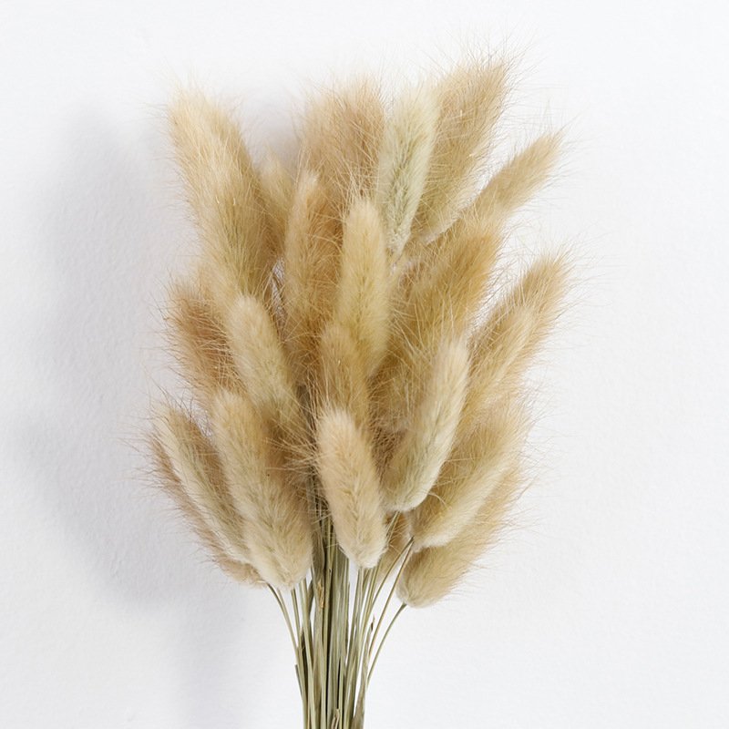 Decorative Flowers Material Dried Flowers Rabbit Tail Grass Bouquets Christmas Long Lasting 55 bunch Rabbit Tail grass Opp Bag