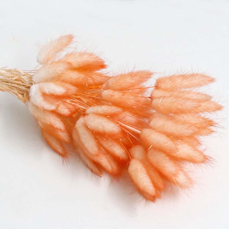 Decorative Flowers Material Dried Flowers Rabbit Tail Grass Bouquets Christmas Long Lasting 55 bunch Rabbit Tail grass Opp Bag