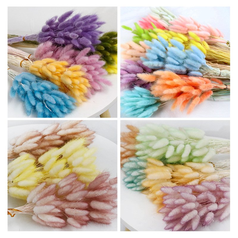 Decorative Flowers Material Dried Flowers Rabbit Tail Grass Bouquets Christmas Long Lasting 55 bunch Rabbit Tail grass Opp Bag