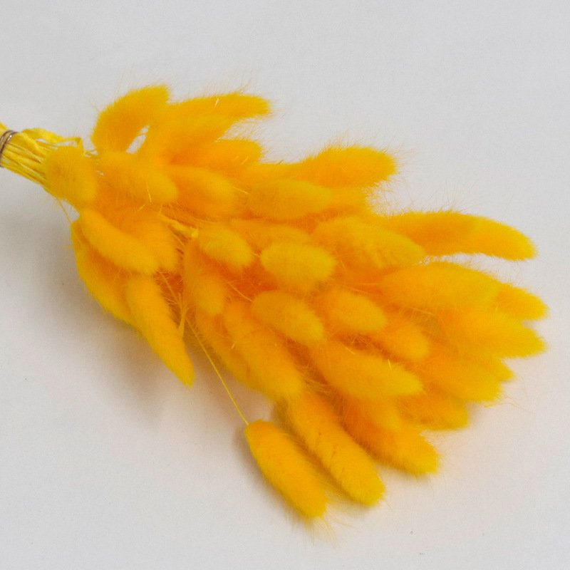 Decorative Flowers Material Dried Flowers Rabbit Tail Grass Bouquets Christmas Long Lasting 55 bunch Rabbit Tail grass Opp Bag
