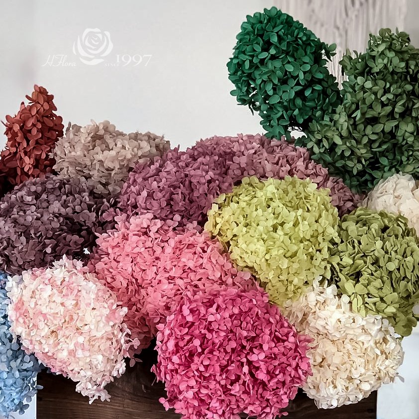 HFlora Wedding home decorations Dried Made Bouquet dried flowers natural flowers Easily preserved hydrangea