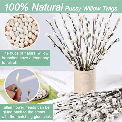 20 real dry hairy willow branches ready for vases, 100% natural hairy willow with white flowers, snowy willow branches