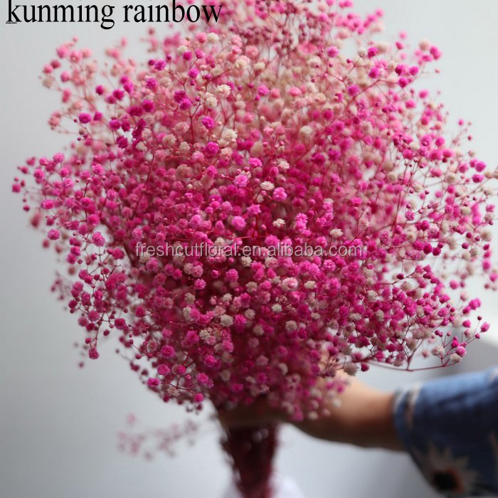 Wholesale Dried Natural preserved Eternal Preserved gypsophila bunny tails and dry Crystal Grass flowers