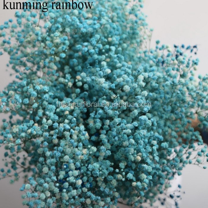 Wholesale Dried Natural preserved Eternal Preserved gypsophila bunny tails and dry Crystal Grass flowers