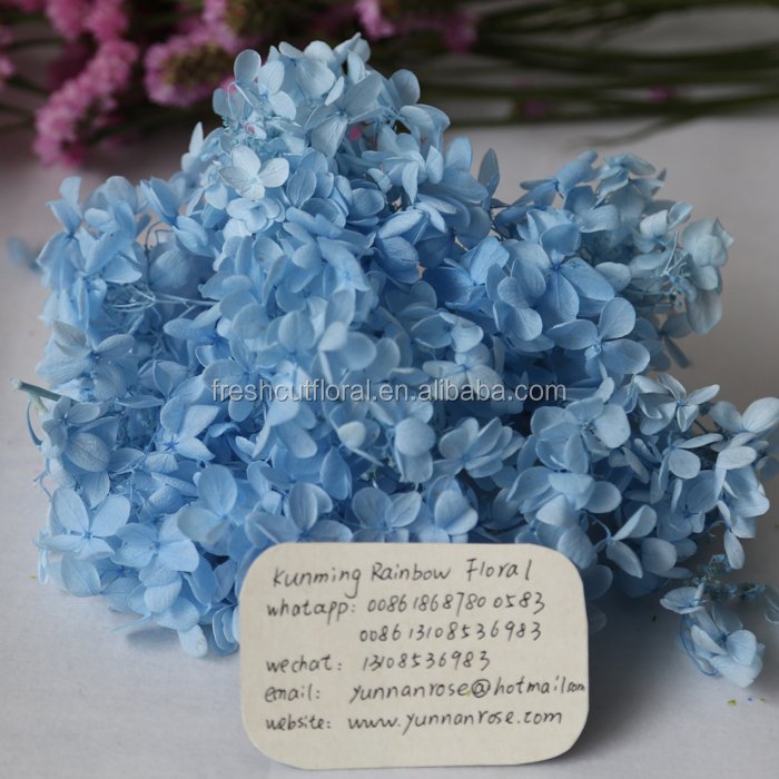 Wholesale Dried Natural preserved Eternal Preserved gypsophila bunny tails and dry Crystal Grass flowers