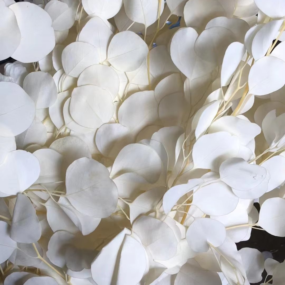 100g Preserved Bleached Eucalyptus Apple Round Leaves Natural Real Flower Preserved Sliver Dollars Leaves Wedding Decor Bouquet