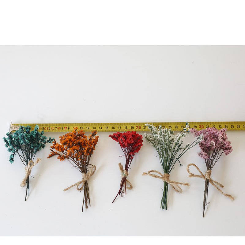 Natural Dried Daisy Flowers Head White Daisy Flowers Home Wedding Garden Decoration DIY Mini Daisy Decorative Dried Flowers