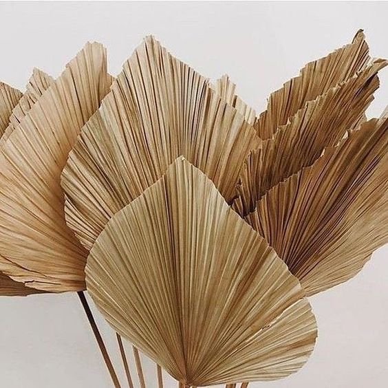IFG wholesale dried palm leaves for wedding ceremony &home decoration