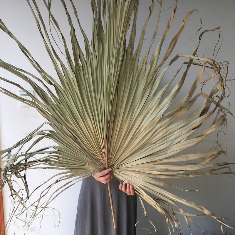 IFG wholesale dried palm leaves for wedding ceremony &home decoration