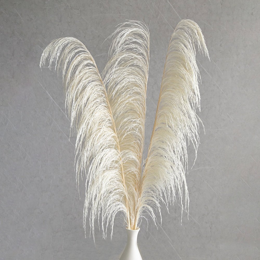 Free Sample White Dried Pampas Reeds Flower Arrangement Wedding Tall Pompas Pampas Stems