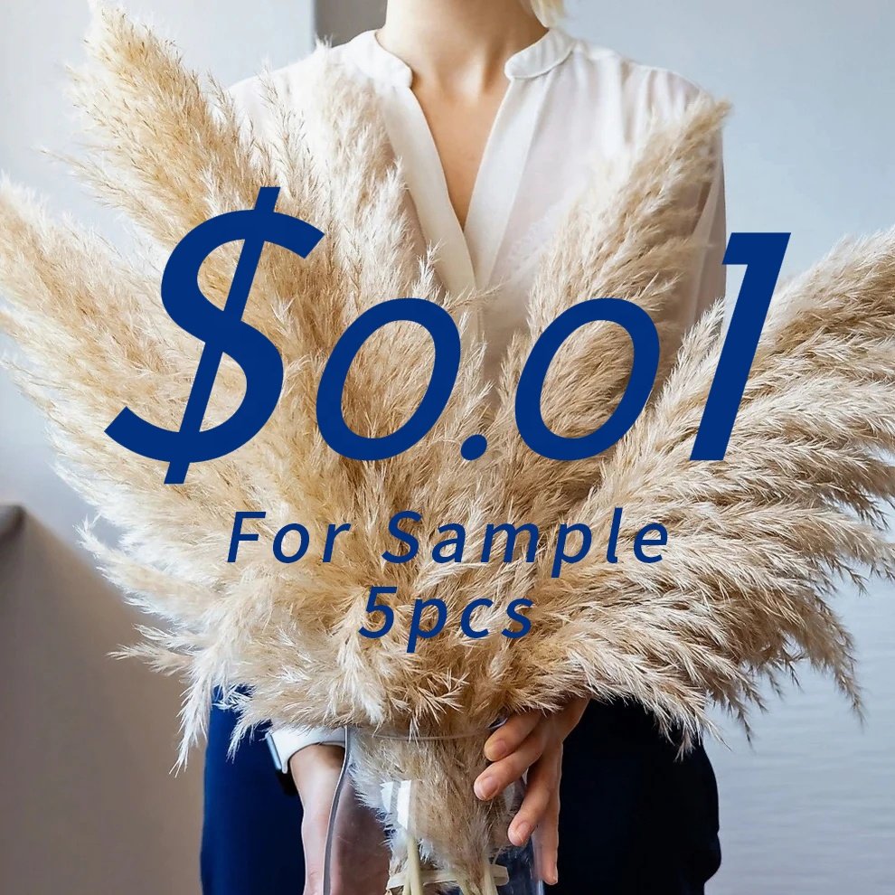 Free Sample White Dried Pampas Reeds Flower Arrangement Wedding Tall Pompas Pampas Stems