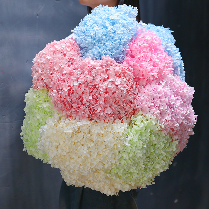 Natural Dried Flowers Preserved Anna Hydrangea for Indoor Outdoor Ornaments Yunnan Hydrangea Flowers for Wedding Home Party