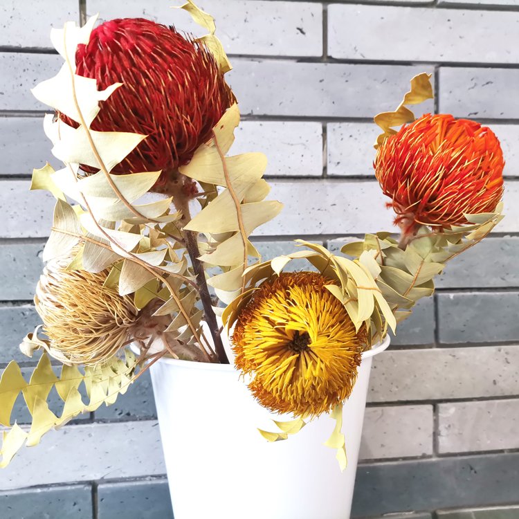 SumFlora INS Wholesale natural dried flowers banksia for decoration