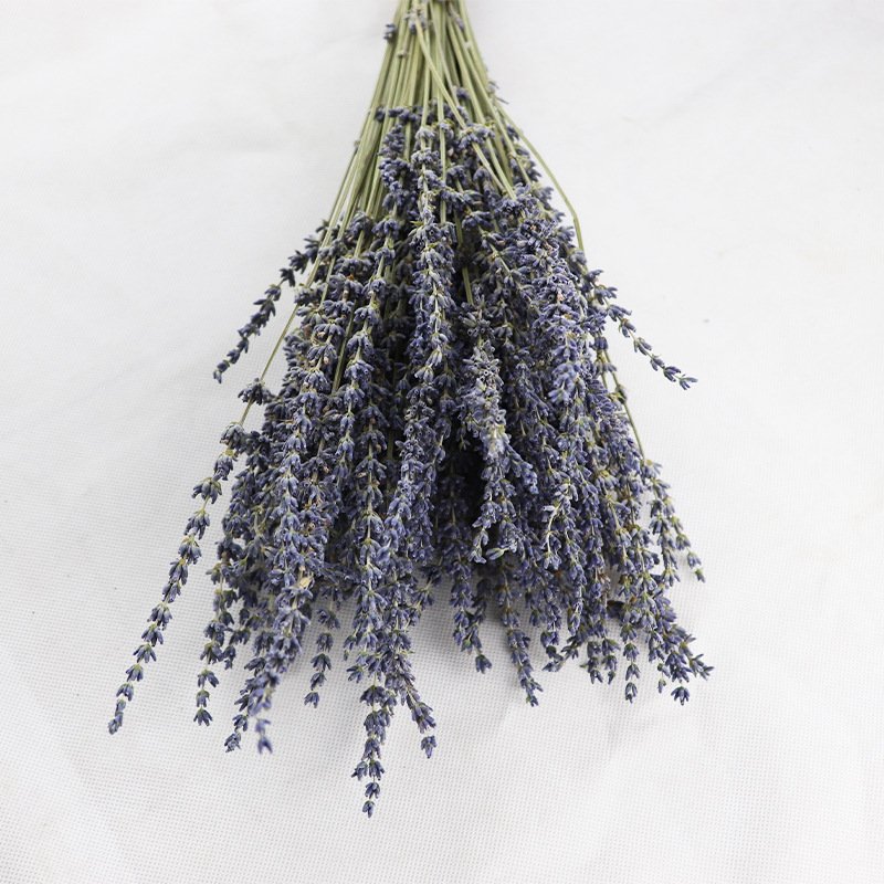 New Year Decor 2024 Yunnan Wholesale Home Decor Lavender Flowers Dried Lavender For Flower Bouquet/Wedding