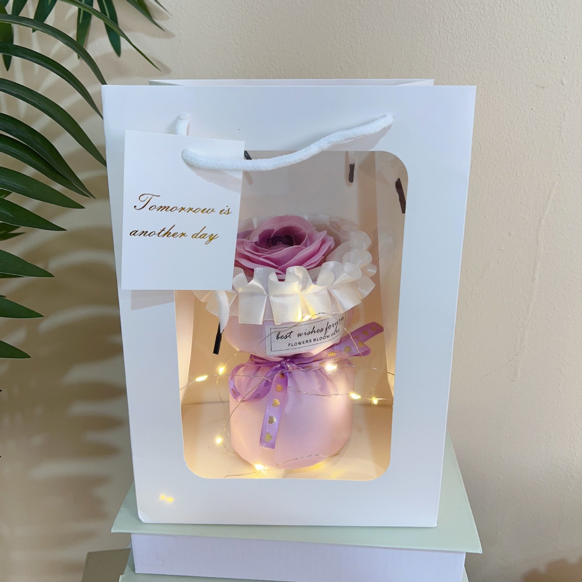 Top Sale preserved rose flower preserved rose head forever roses preserved flower for Valentine's Day