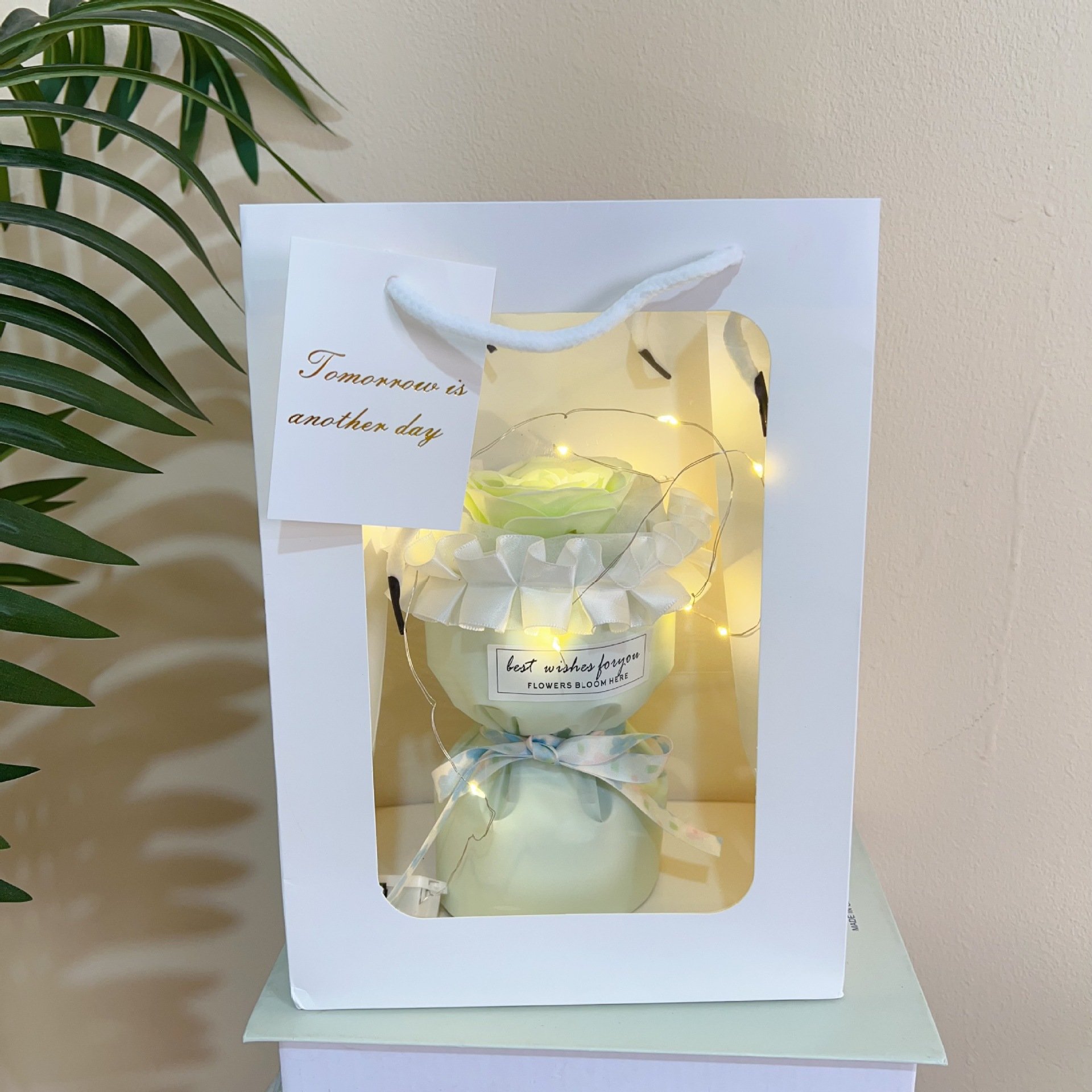 Top Sale preserved rose flower preserved rose head forever roses preserved flower for Valentine's Day