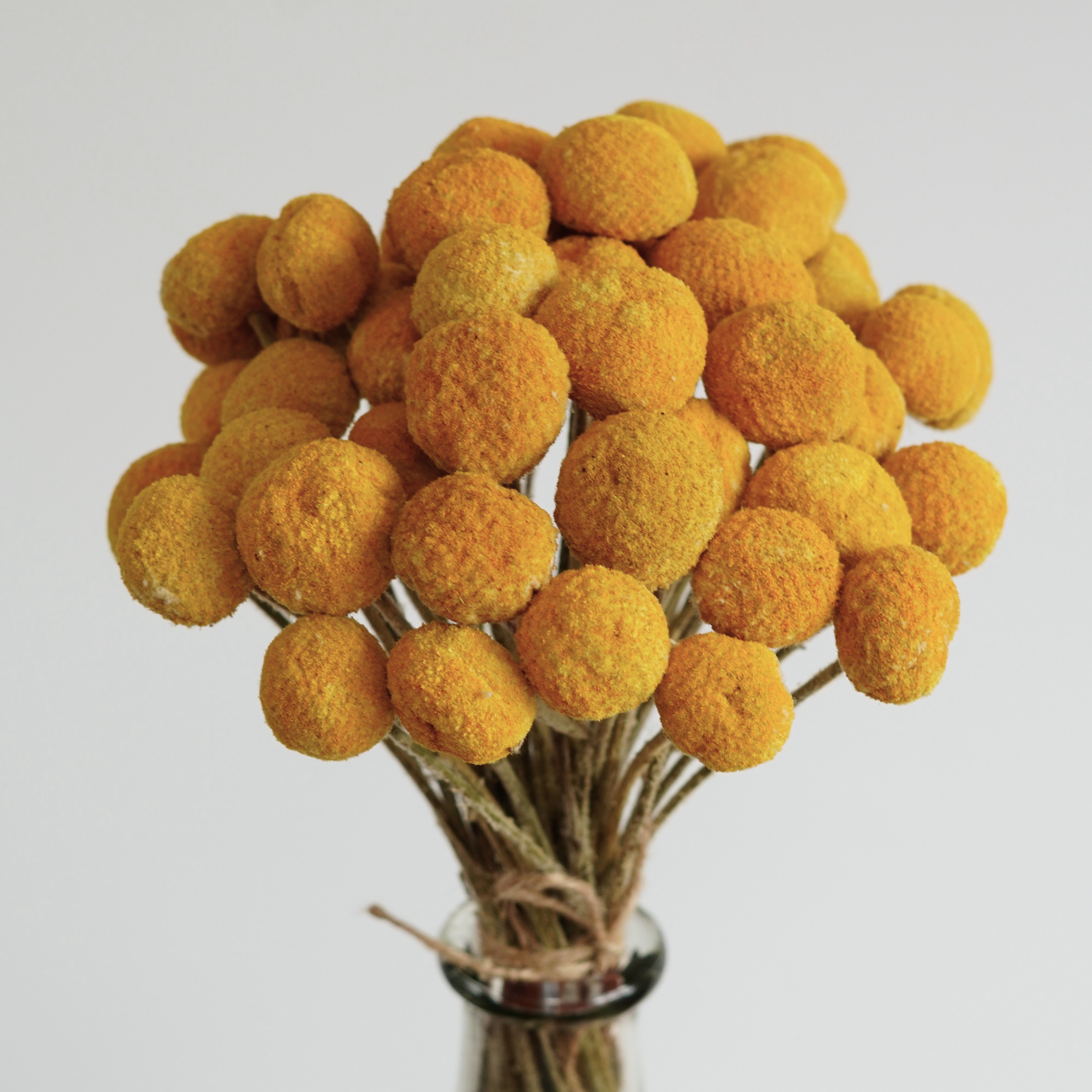 Yellow dried billy balls, craspedia, Bunch of craspedia, dried yellow flowers, Billy buttons, baby shower flowers