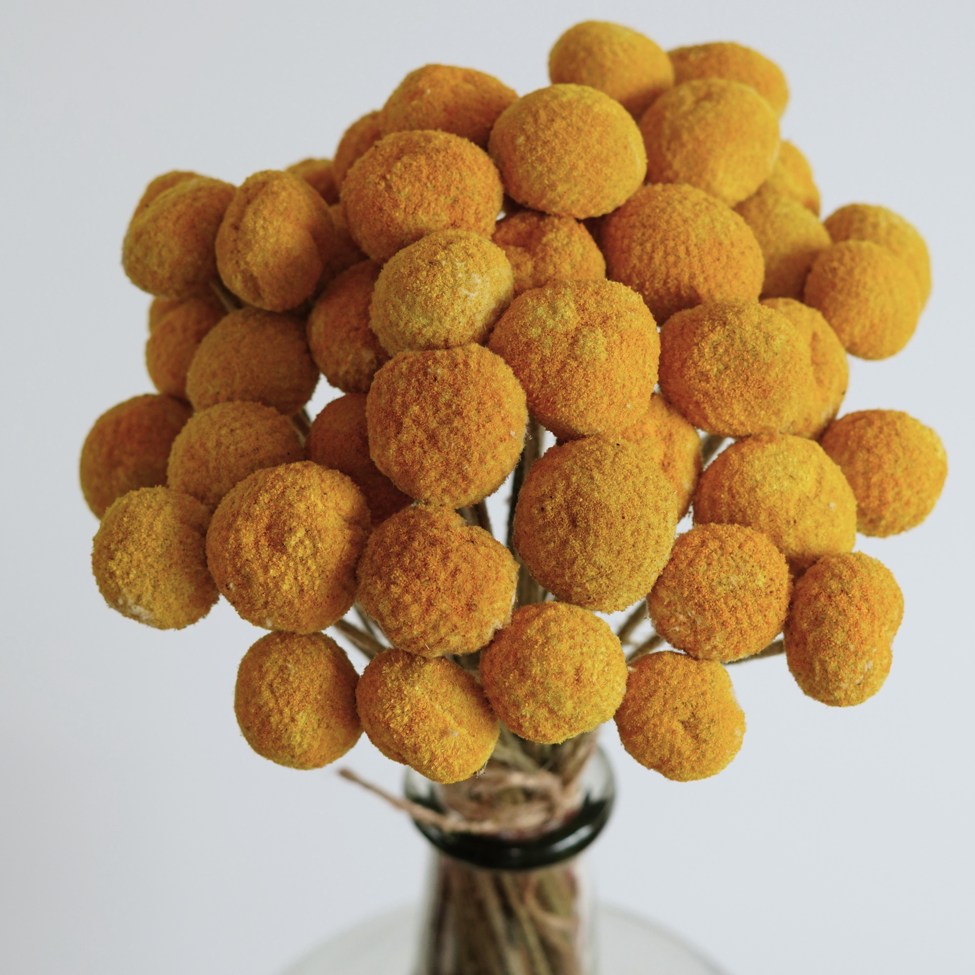 Yellow dried billy balls, craspedia, Bunch of craspedia, dried yellow flowers, Billy buttons, baby shower flowers