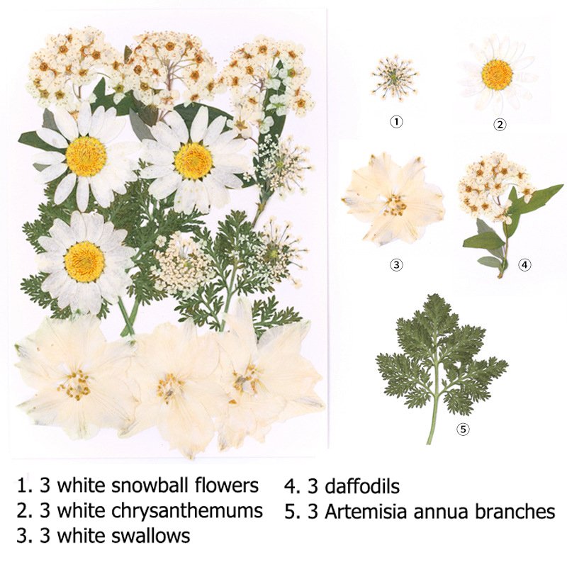 wholesale white natural preserved flowers dried flower candles dried pressed flower