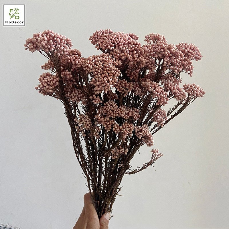 High Quality Real Touch Mini Rice Flower Dried Preserved Flower Bouquet Fresh Natural Stem Eternal Home Decoration