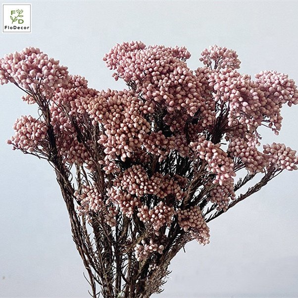 High Quality Real Touch Mini Rice Flower Dried Preserved Flower Bouquet Fresh Natural Stem Eternal Home Decoration