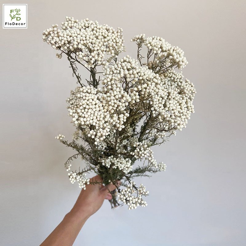 High Quality Real Touch Mini Rice Flower Dried Preserved Flower Bouquet Fresh Natural Stem Eternal Home Decoration
